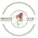 Amanita Club. Микродозинг целебных грибов