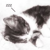 ядочка(мясное сердце)