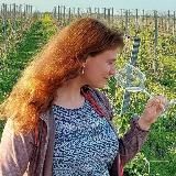 Мне только попробовать