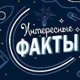 Интересные факты 😱👍