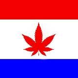 ПМС | Прекрасная Мордовия Сегодня