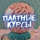 @rez0222 👈 сливы курсов тут