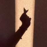 Корица что-то говорит