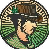 Работа Спортики Россия