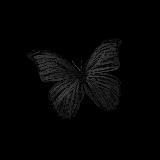 𝐓𝐡𝐞 𝐛𝐞𝐬𝐭 𝐦𝐮𝐬𝐢𝐜 ️🎶