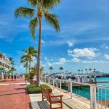 Наши во Флориде 🌴