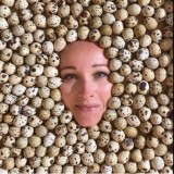 На ферме «Перепелкино» | Хозяйство | Огород