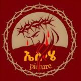 Elohe pictures