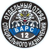 БАРС 1️⃣2️⃣ ⚡️Za Победу⚡️