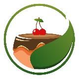 Здоровые растительные рецепты / Валерия