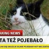 Рецензии одним предложением