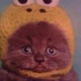 ⛲️императорское ложе⛲️