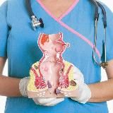 Женский проктолог Грозный (Чечня)