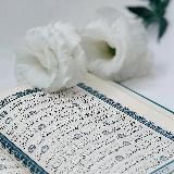 Из бархата и стали