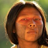 постигая пираха