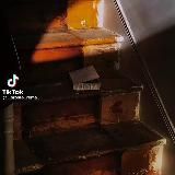 Чердак идиота