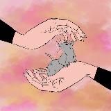 Горячая линия "Крыса в беде"