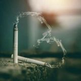 💞برو بچ های بامرام 💞