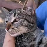 Islam|Видео|сохры Ислам