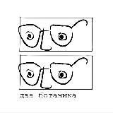 Два ботаника - Комнатные растения в Москве