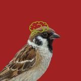 Продуктовошная Михаила Грекова