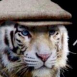 БЛЭК БИЗНЕС