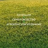 Семеноводство в России 🇷🇺