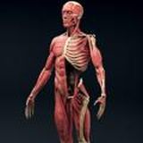 Книги читать онлайн