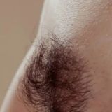 Лобковые Волосы