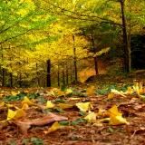 يوميات ممرضة 🎓🤍🩺