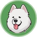 Где ты, Друг?