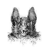 Страшно понятный digital-маркетинг