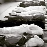 الحياة قاسية