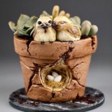 Та самая группа с курсами🧁