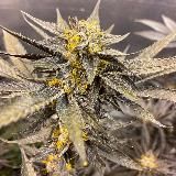 THE BOX PRINCESS MENU