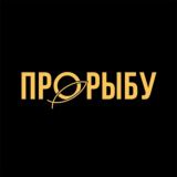 ЧАТ ПРОРЫБУ🐟