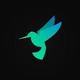 Kolibri Intelligence System ᵇᵉᵗᵃ
