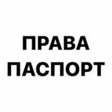 Avtovid