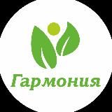 Демиург. Начало