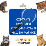 Сообщество в Израиле от Анастасии Светлой°PR COMMUNITY