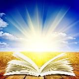 Фильмы | Ужасы | Триллеры | Джон Уик 4