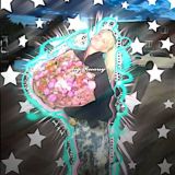 𝓭𝓸𝓰.𝓡𝓮𝓼𝓾𝓻𝓼𝔂 🐾