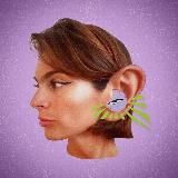 ЛИЗАТЕРИКА