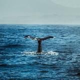 Глубина внутри тебя🌊