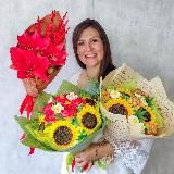 Королевство Зефира