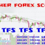 Teacher Forex School(official Group)