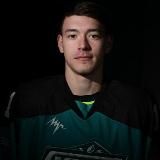 Хоккейный Тренер