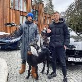 Раздача от Dimasa