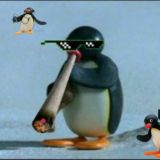 Seguaci di Pingu