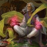 Эволюция.Развитие.Практика